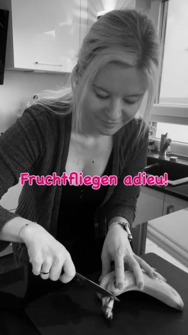 Fruchtfliegen adieu